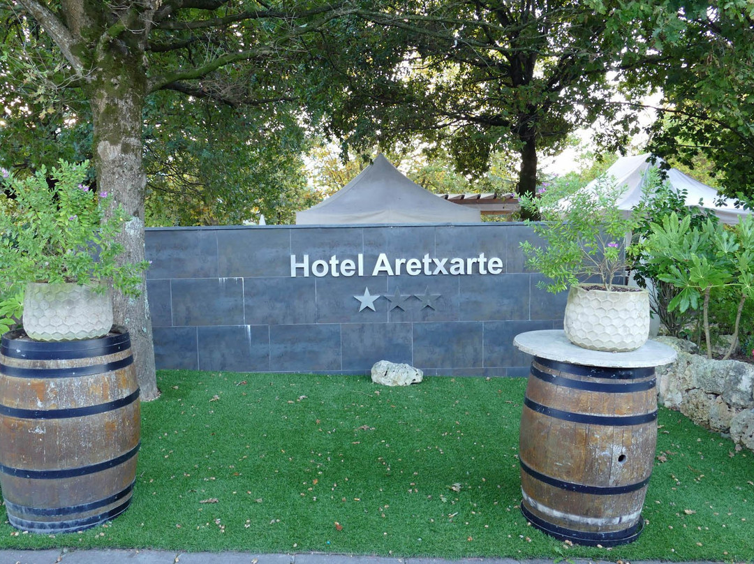 阿雷特科萨特酒店主图