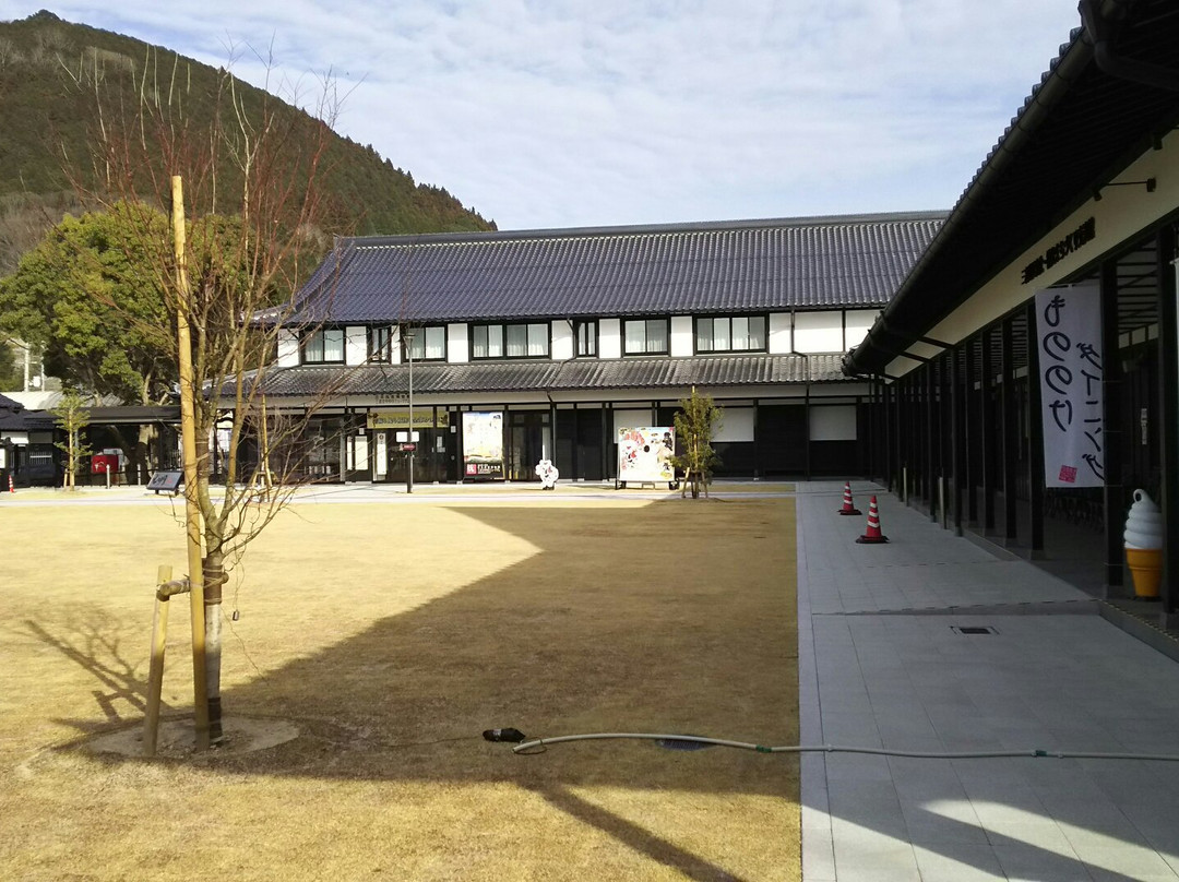 Yumoto Goichi Memorial Nihon Yokai Museum (Miyoshi Mononoke Museum)景点图片