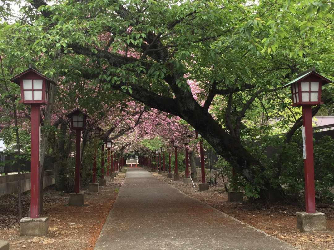 Kashihara Shrine-小山市必去景点