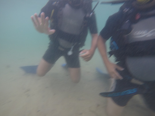 Companhia do Mergulho-莫罗圣保罗必去景点