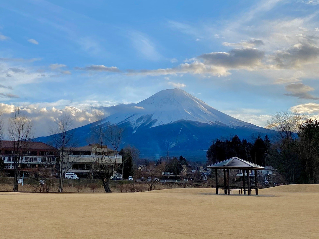 Yagizaki Park景点图片