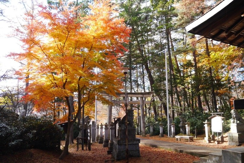 Shirane Shrine景点图片