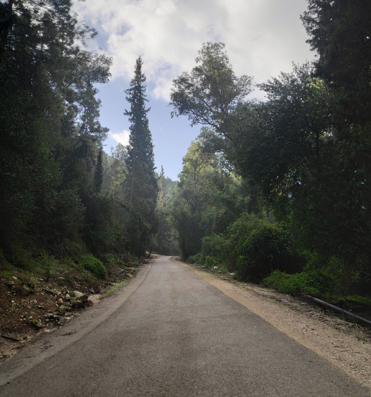 Nachal HaShofet - Shofet River-Ramot Menashe必去景点