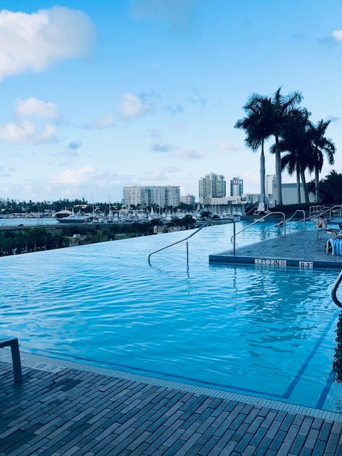 波多黎各喜来登赌场酒店-泳池