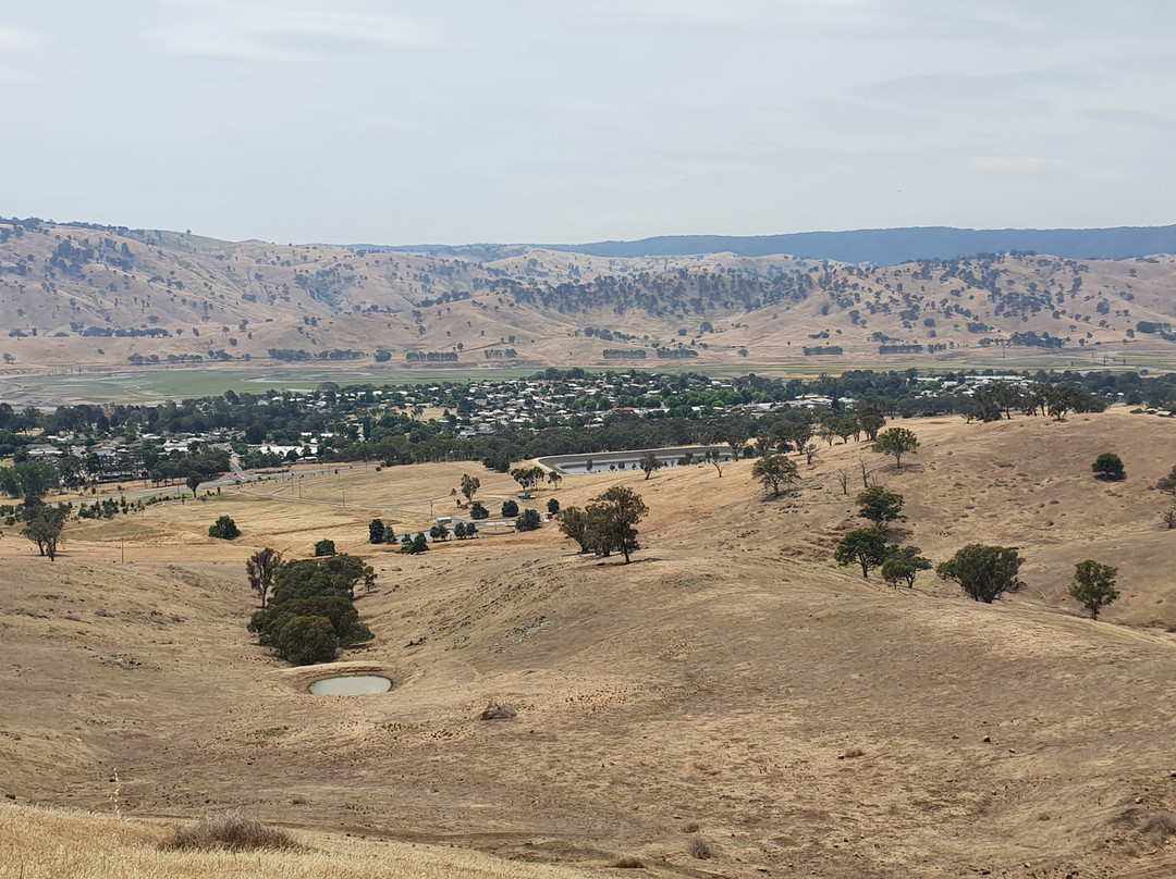 Tallangatta Lookout景点图片