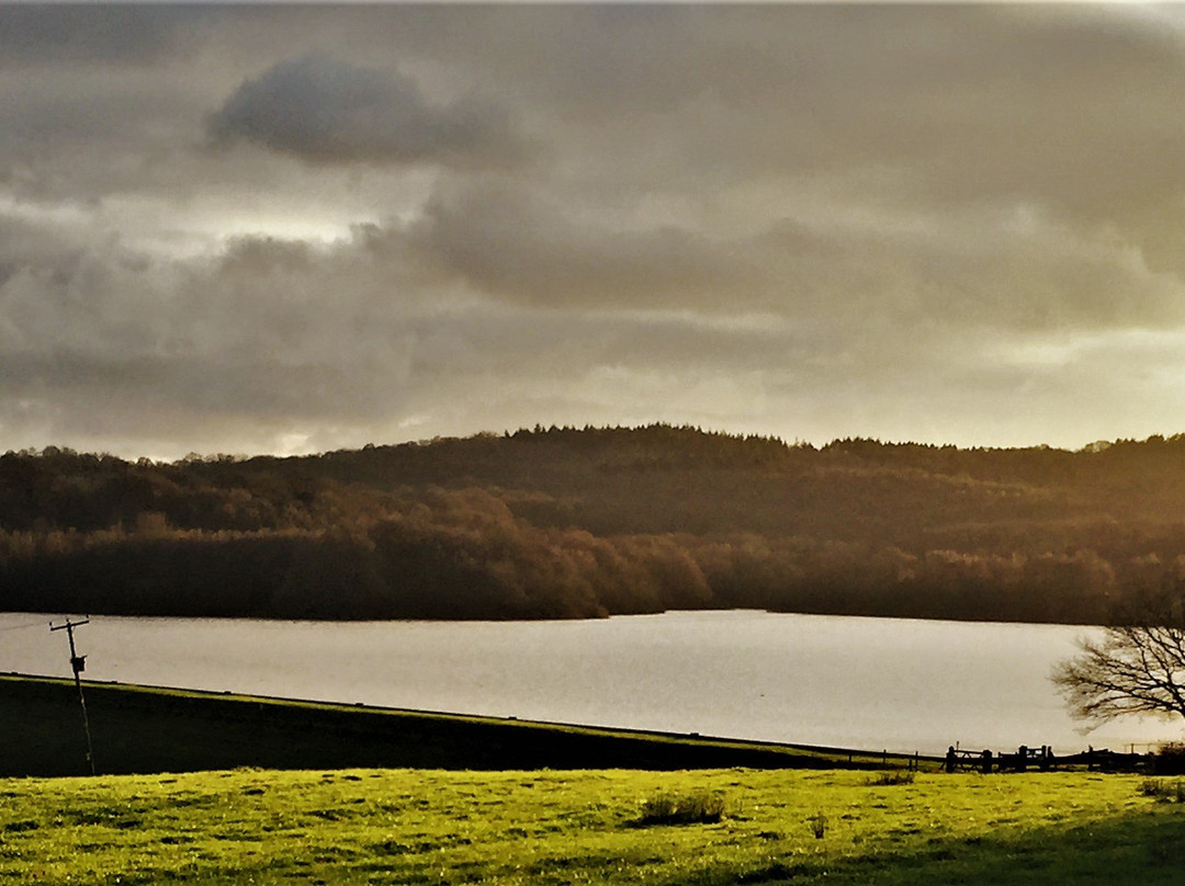 Darwell Reservoir景点图片