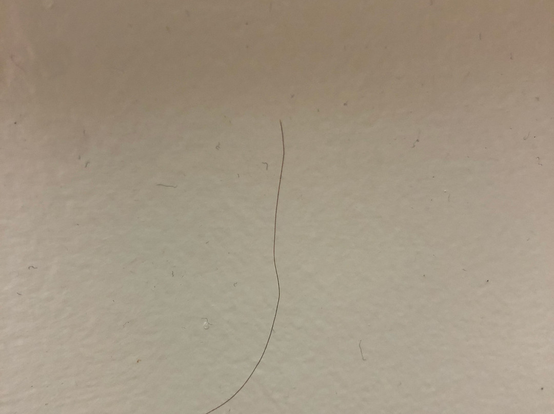 珊瑚礁公寓酒店主图