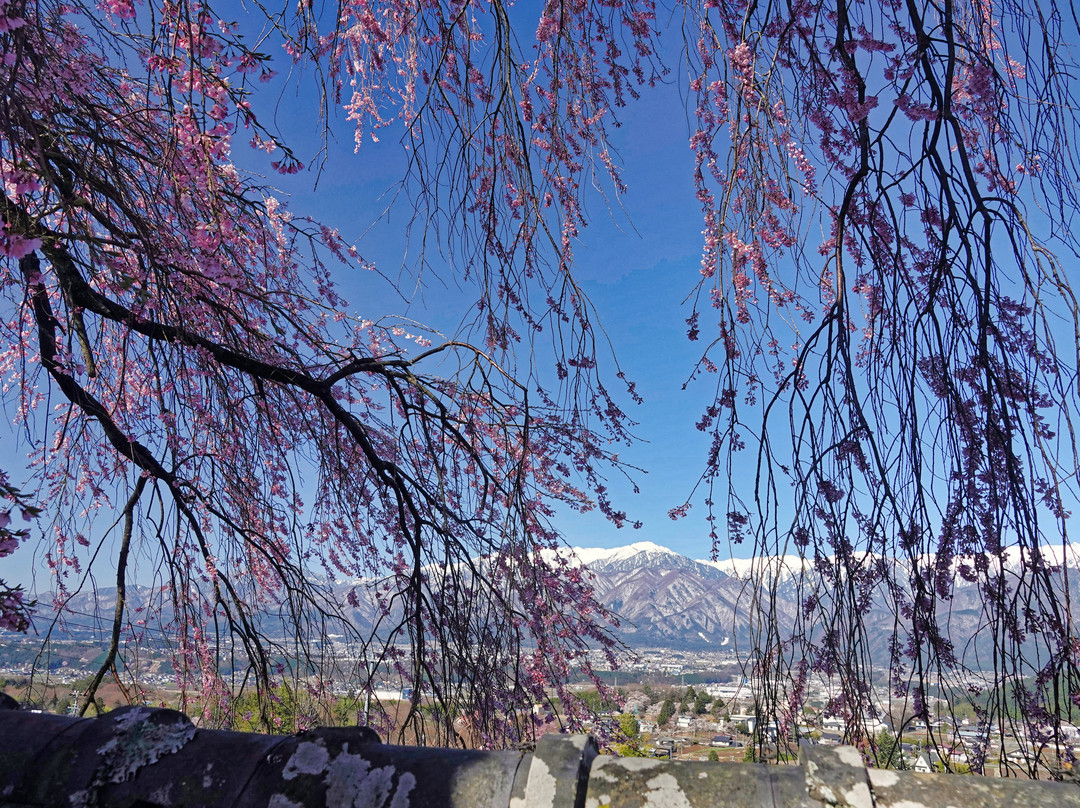 Seirin-ji Temple景点图片