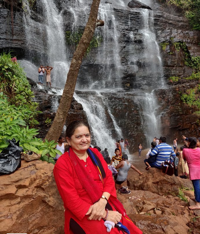 Jhari Waterfalls景点图片