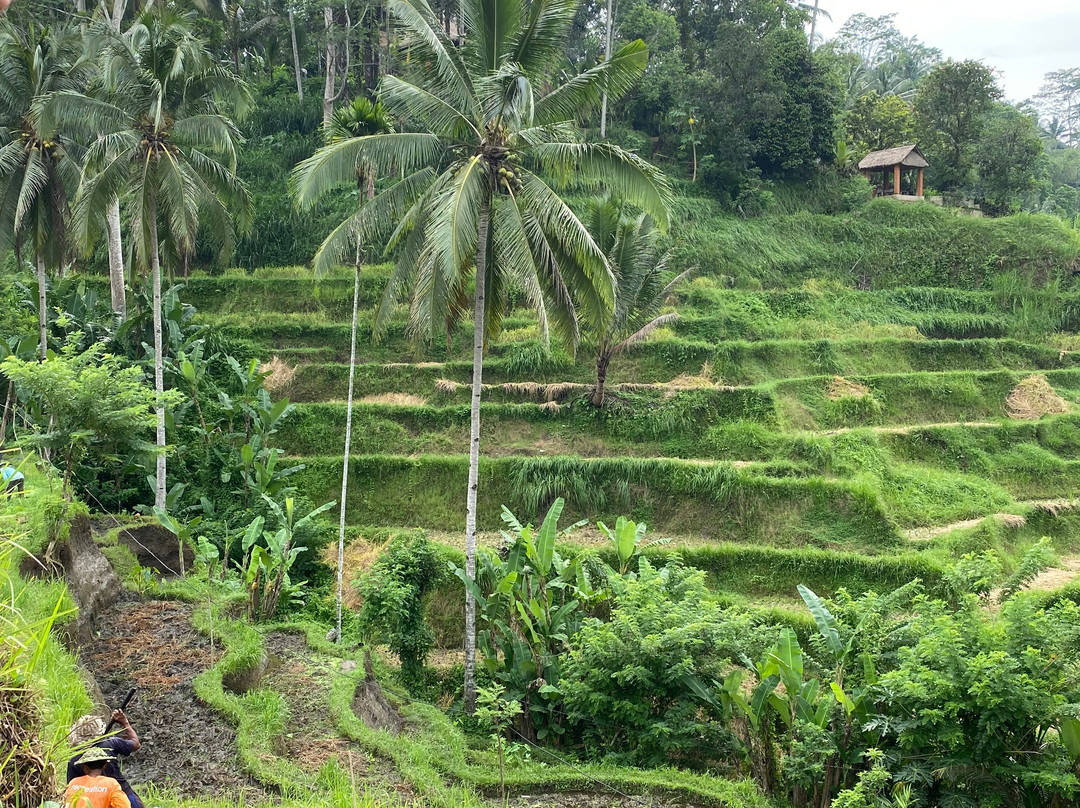 Hire Bali Cab-库塔必去景点