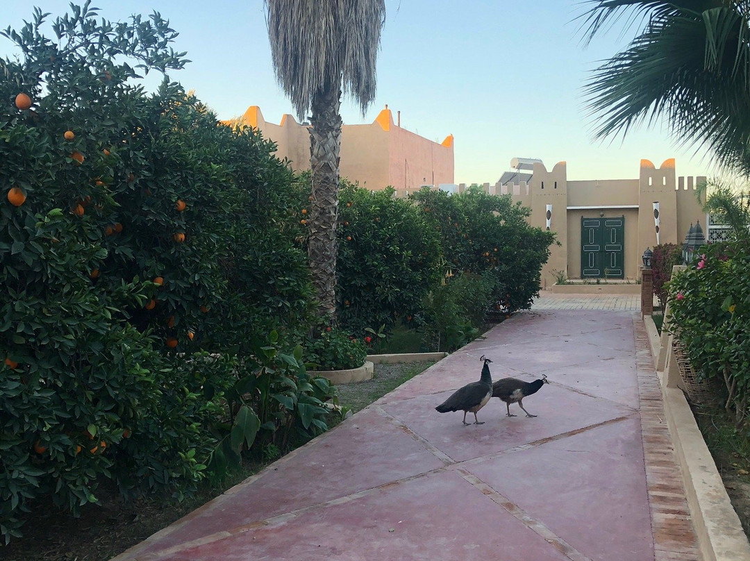 Palais Riad Hida主图