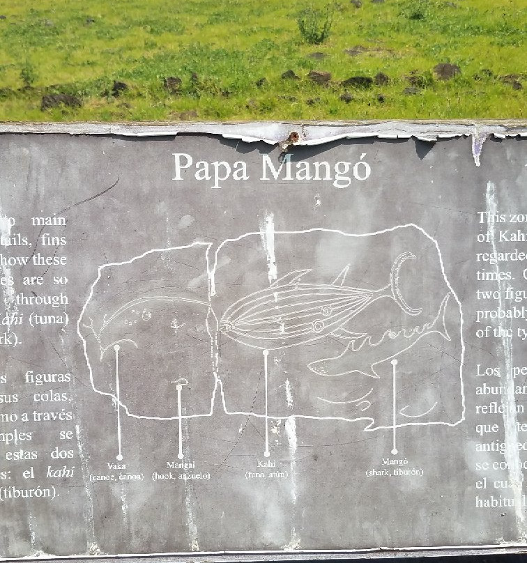 Papa Vaka-复活节岛必去景点