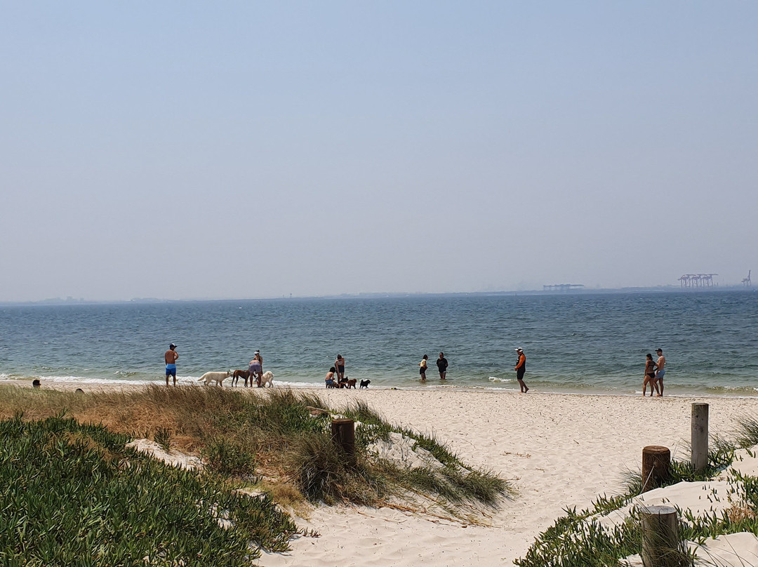 银滩-悉尼必去景点