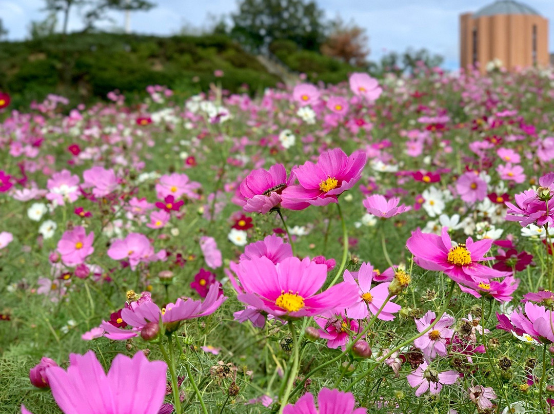 Aichi Farm-日进市必去景点