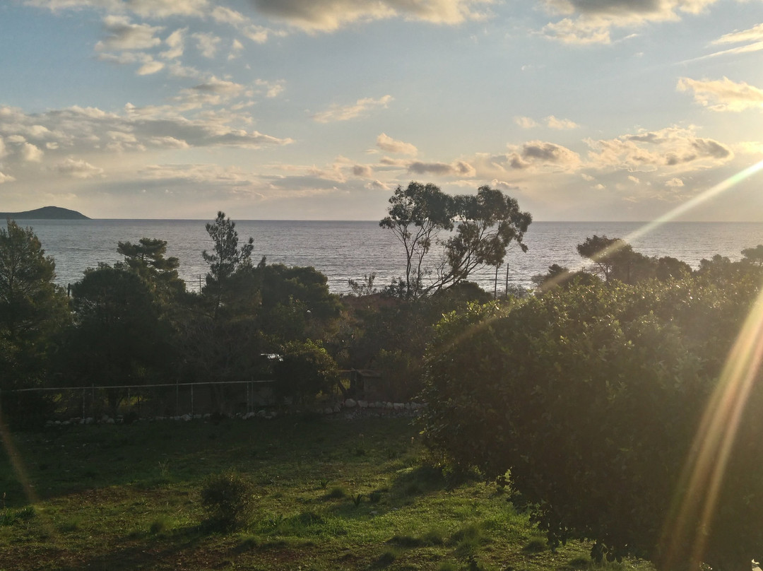 Iliopetro Apartments主图