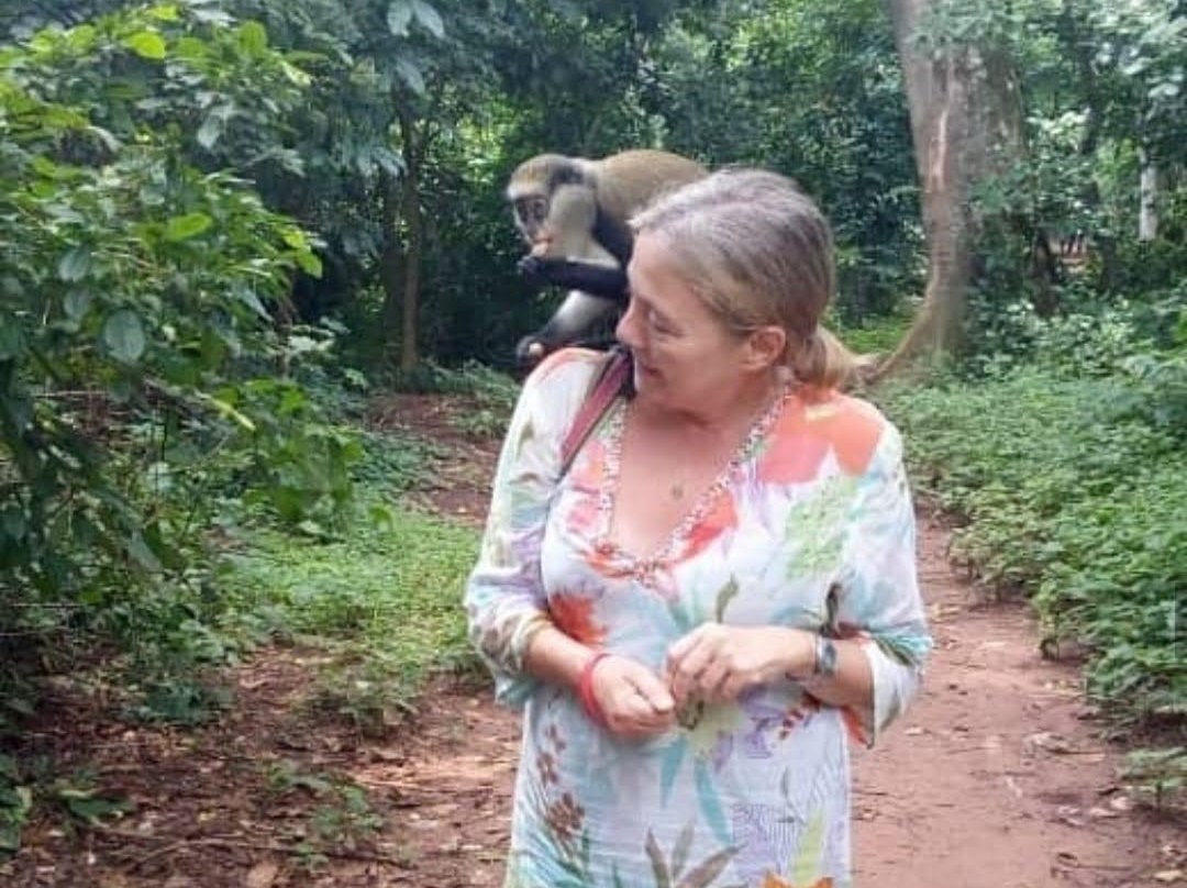 Boabeng Fiema Monkey Sanctuary景点图片