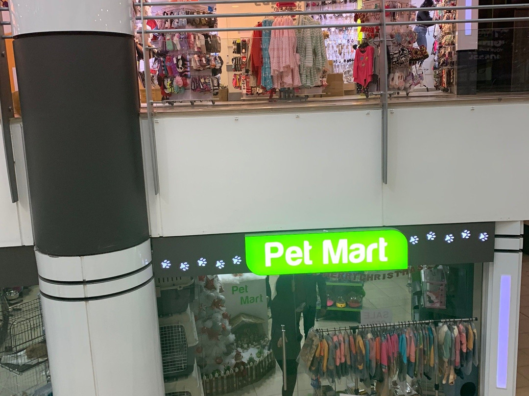 CITYMALL-贝鲁特必去景点