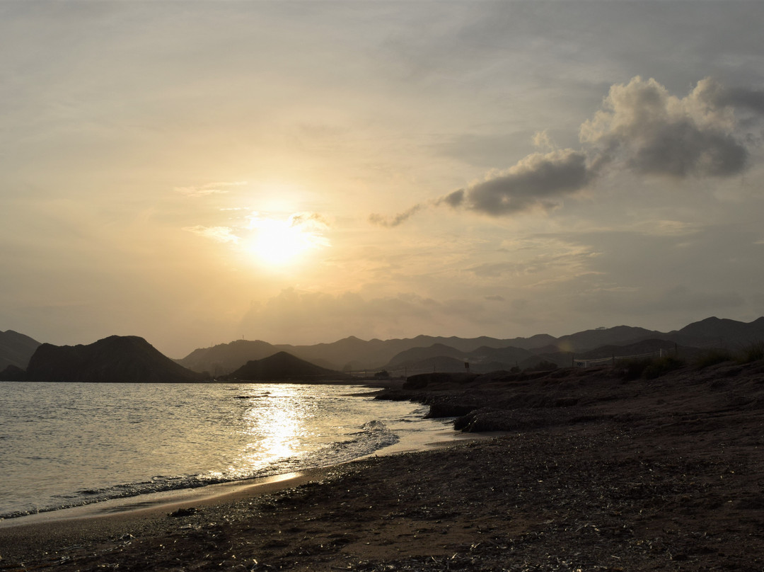 Playa de la Cola
