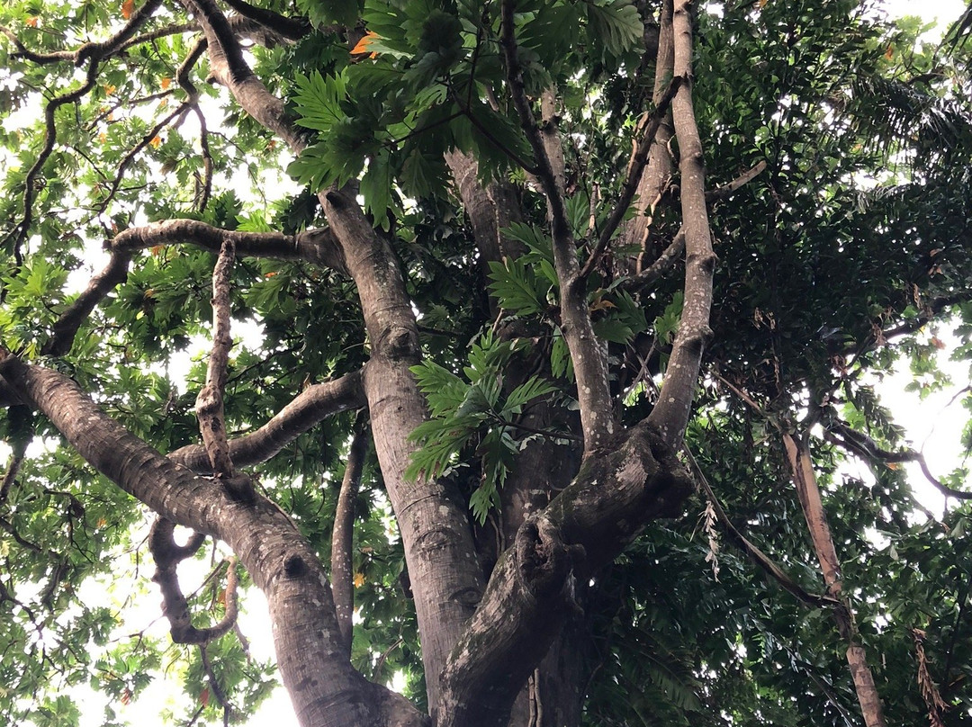 卡萨罗卡旅馆主图