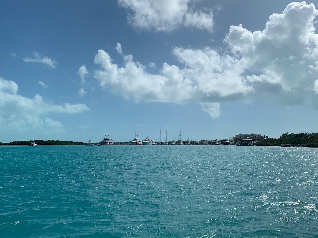 SURFside Ocean Academy-普罗维登西亚莱斯必去景点