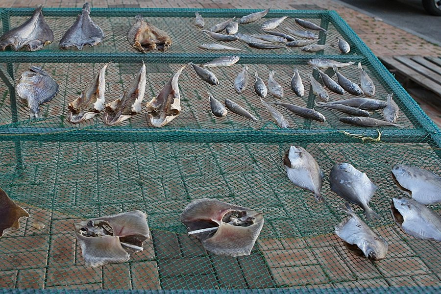 Sinan Jeotgal Town-新安郡必去景点