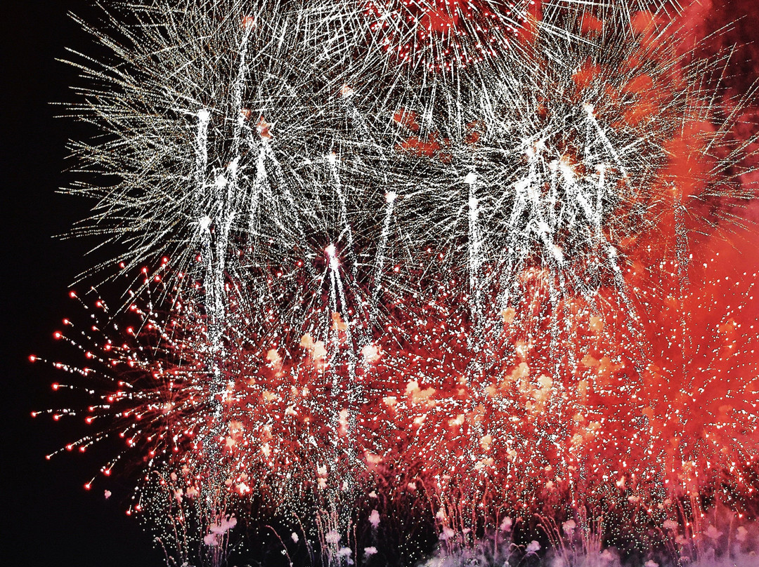 Omagari Fireworks-大仙市必去景点