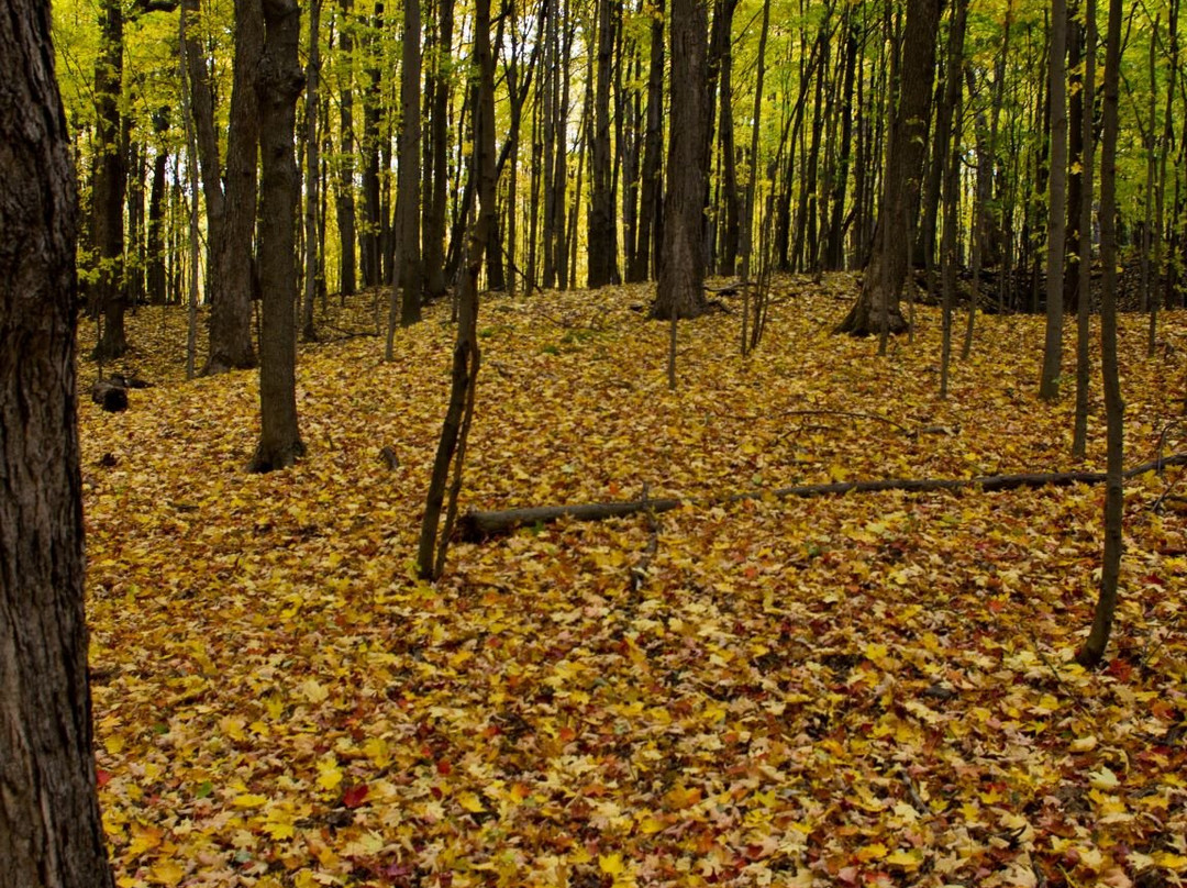 Parc National Du Mont St-bruno-蒙特利尔圣布鲁诺山必去景点