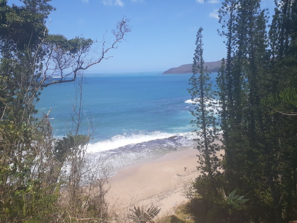 Nekweta Fish & Surf Camp-官方