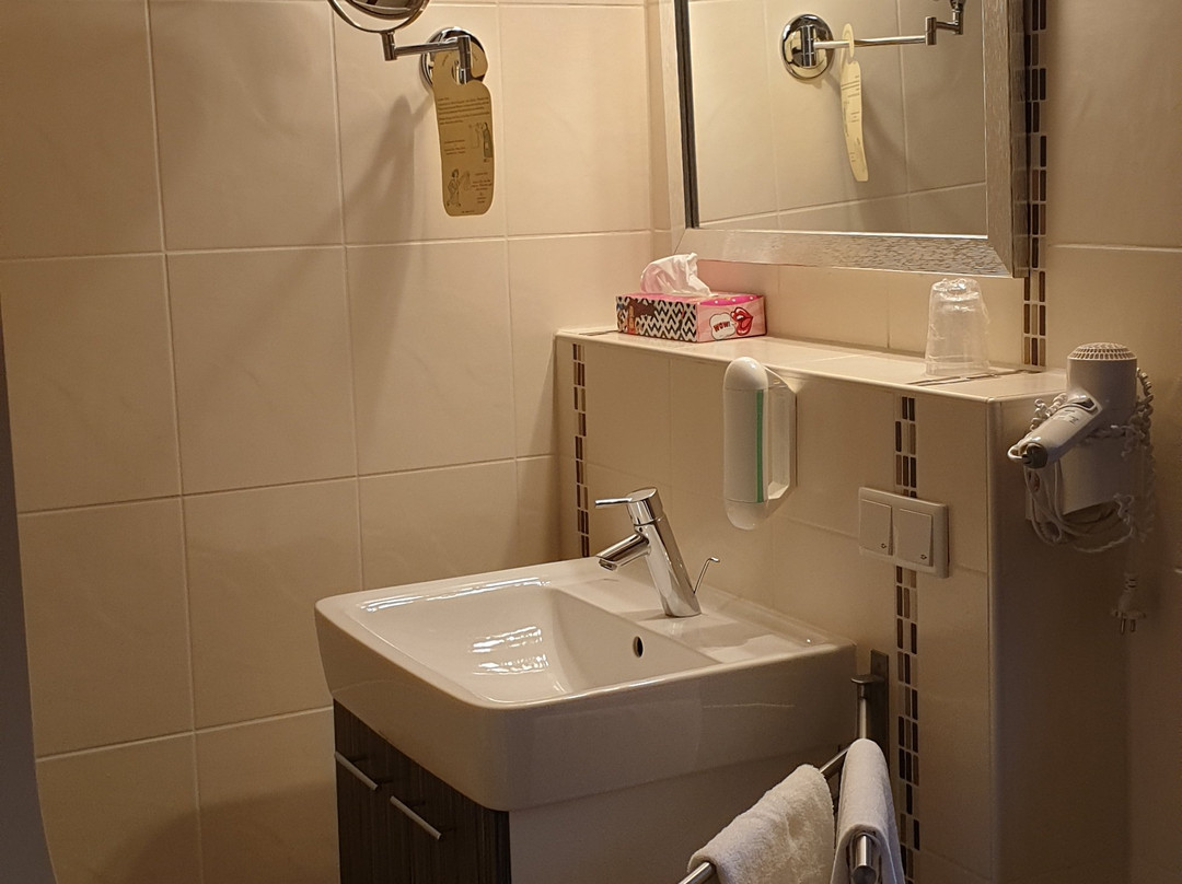 Zum Grunen Baum主图