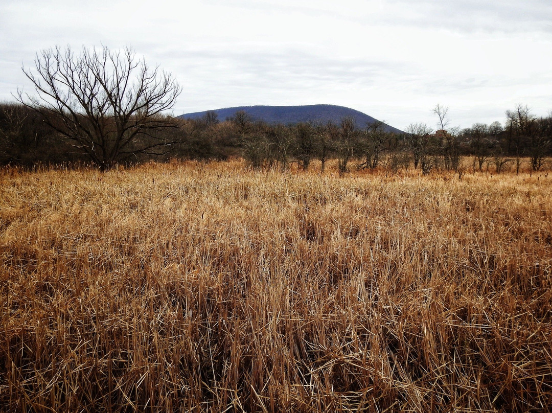 Millbrook Marsh Nature Center-宾夕法尼亚州学院必去景点