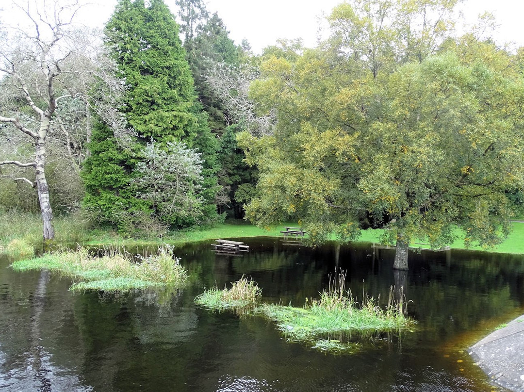 Lough Muckno Leisure Park-Monaghan必去景点