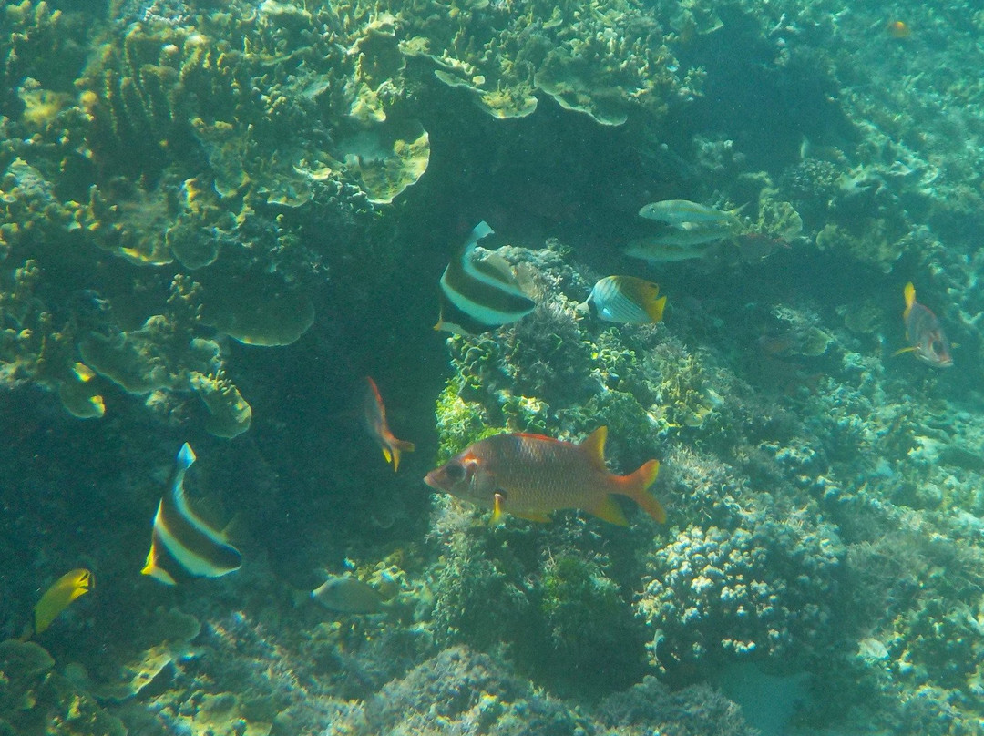 维瓦岛度假酒店主图