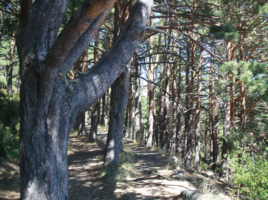 Moncayo Nature Reserve-Anon de Moncayo必去景点