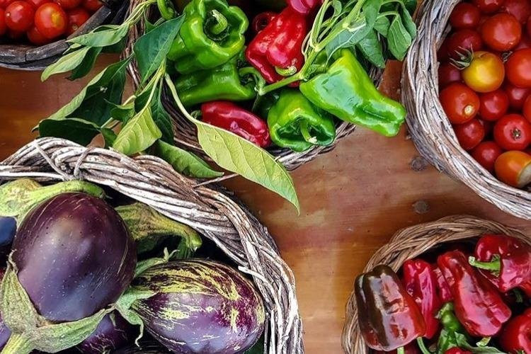 Cantine Merinum-维耶斯泰必去景点