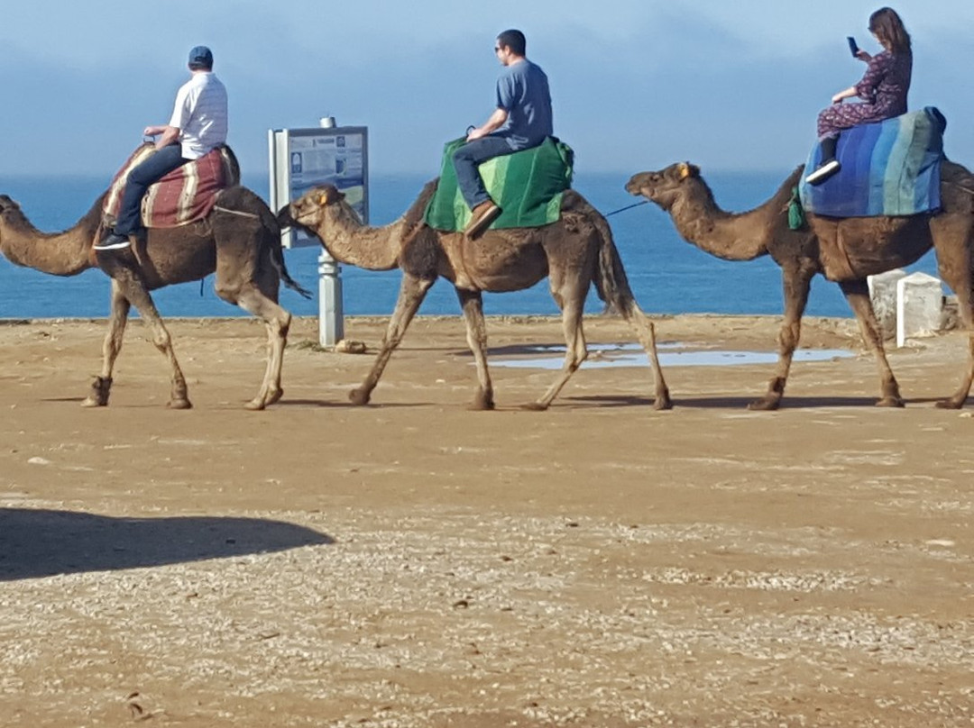 Latif Tours-丹吉尔必去景点