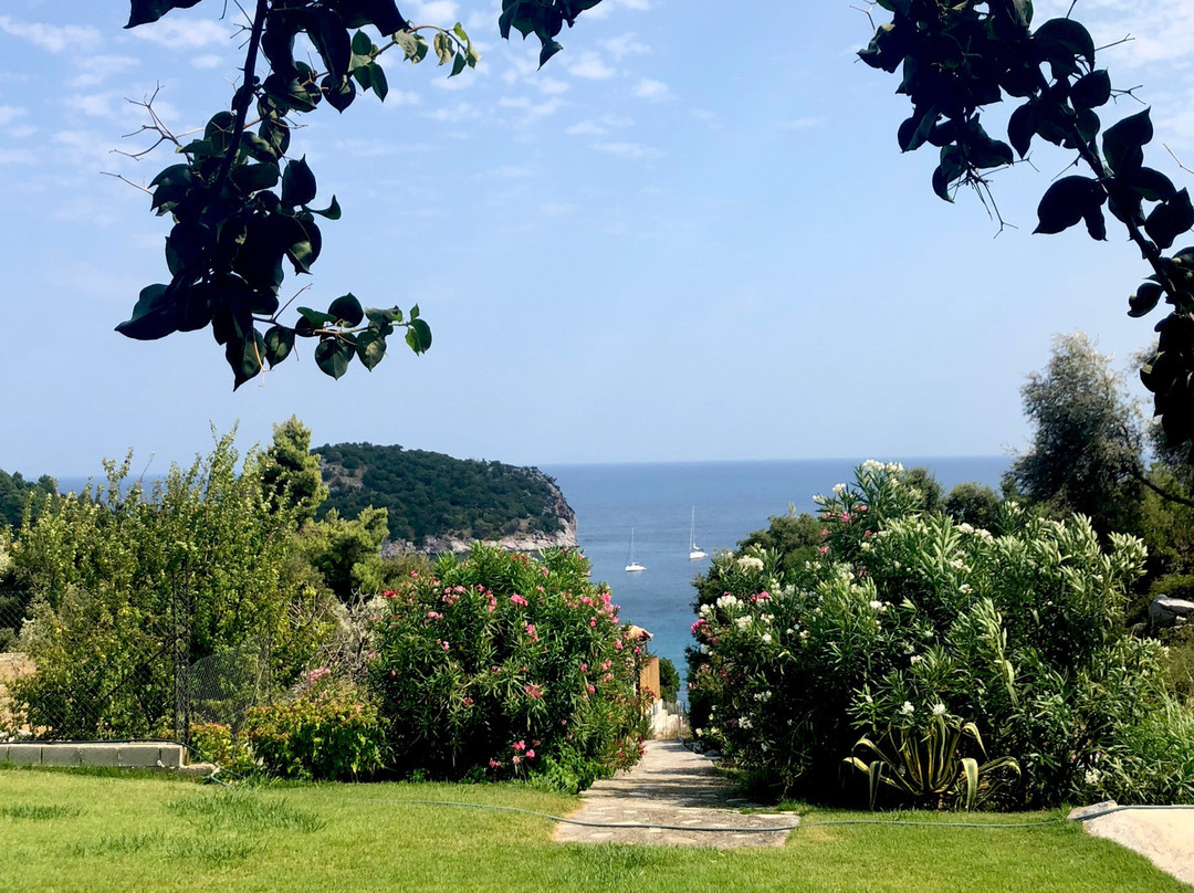 Mando Beachfront主图