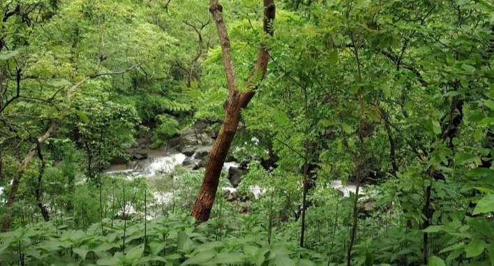 Chinchoti Waterfalls景点图片