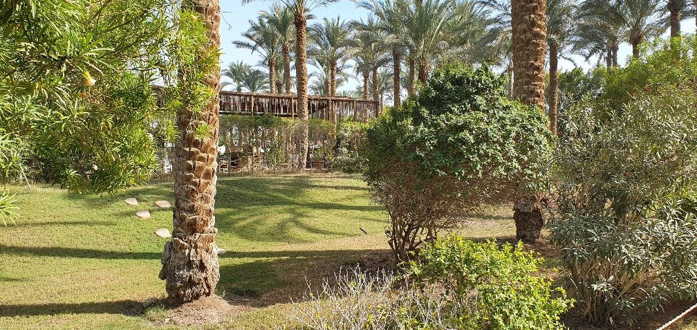 Sakkara Country Club主图