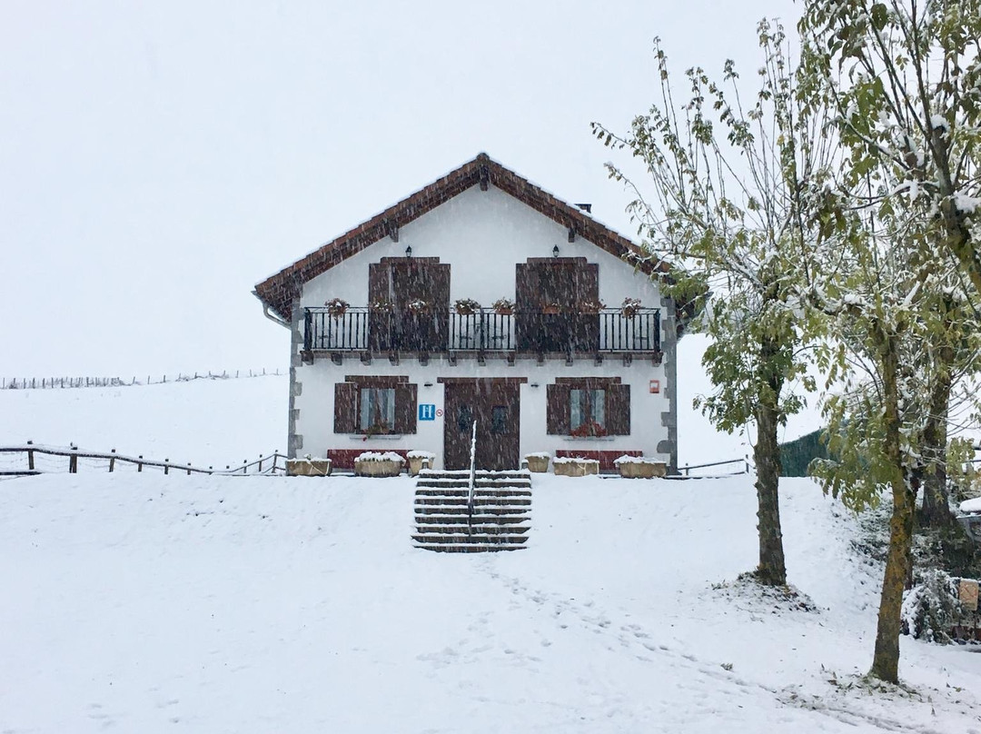 Hostal Rural Mendilatz主图