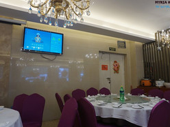 Gallery 3
