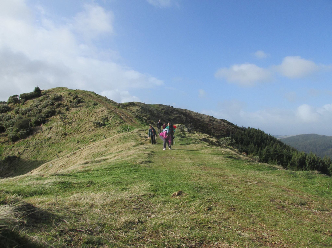 Battle Hill Farm Forest Park景点图片