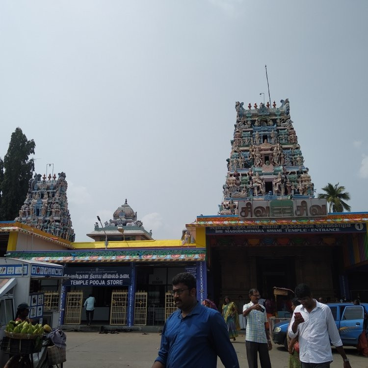 Arulmigu Magudeshwarar & Veeranarayanapperumaal Temple景点图片