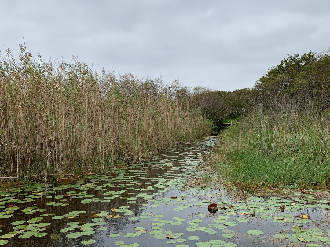 Airboat Ride West Palm Beach-西棕榈滩必去景点