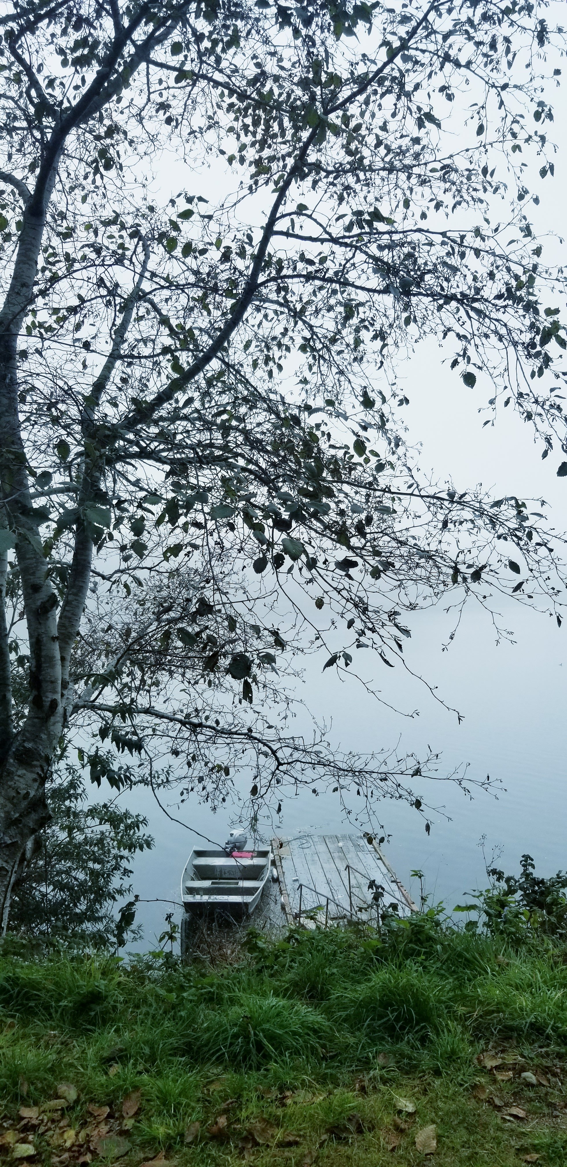 The Historic Requa Inn-portrait