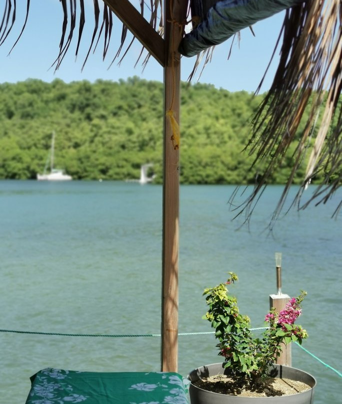 CaptainManou Excursions Nautiques-Le Robert必去景点