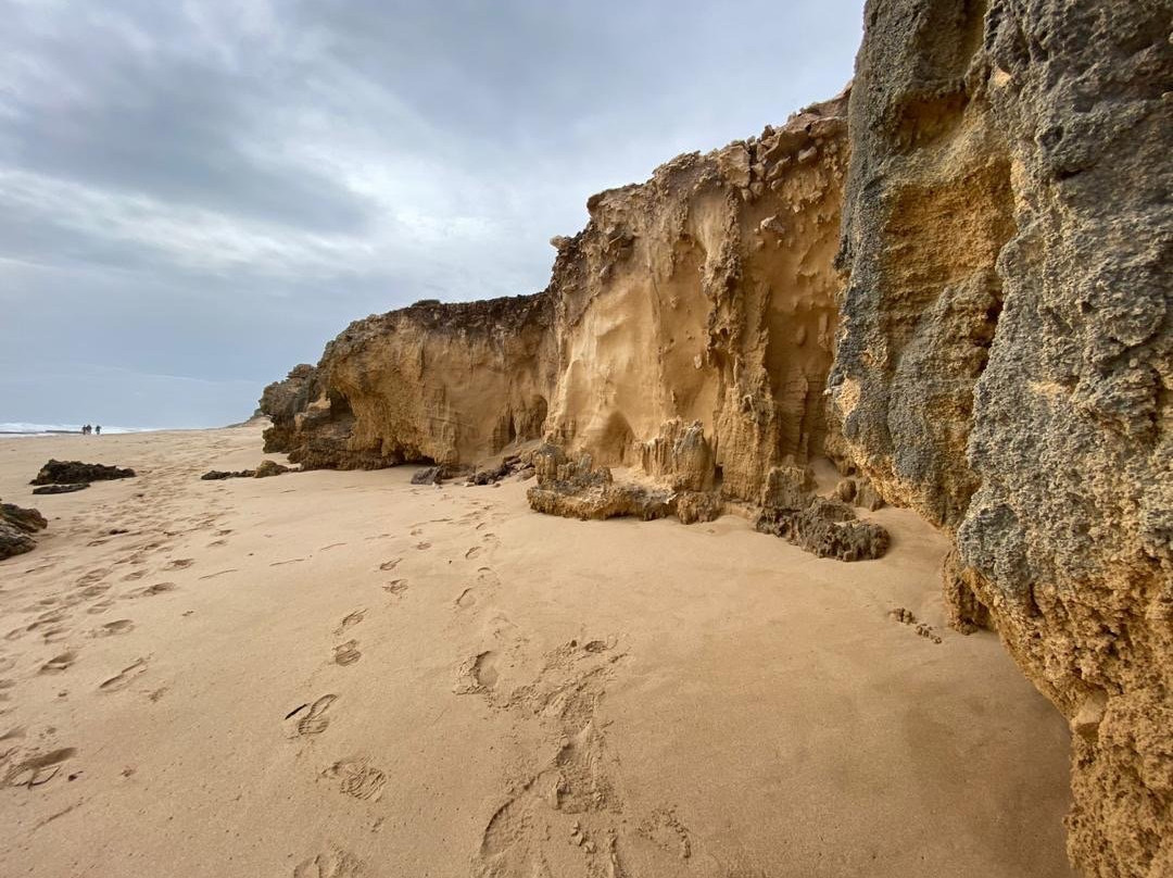 Mornington Peninsula National Park景点图片