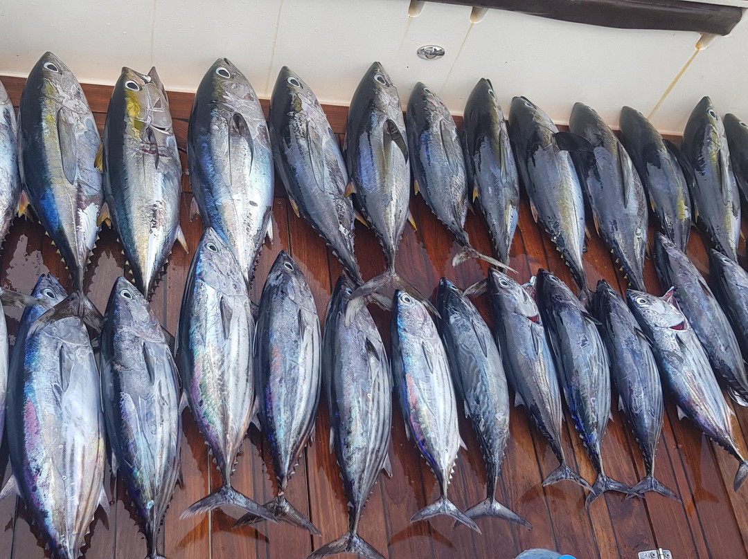 Silent Hunter Fishing Charter-马累必去景点