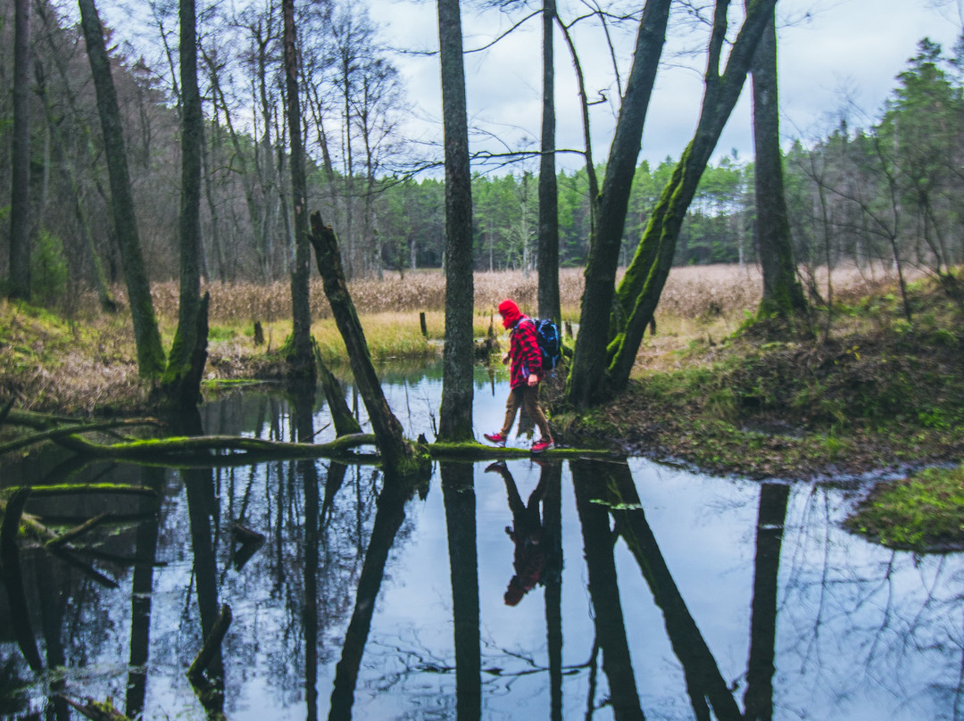 Dzukija National Park-Merkine必去景点