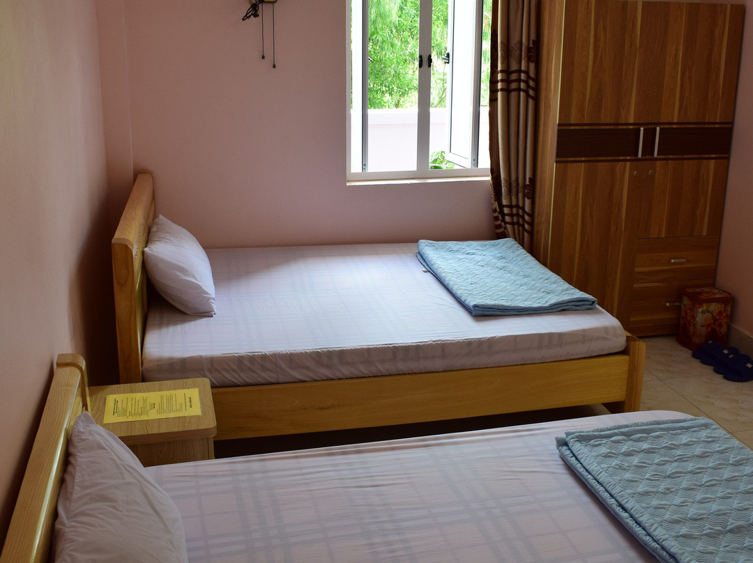 Cat Ba Sweet Potato主图