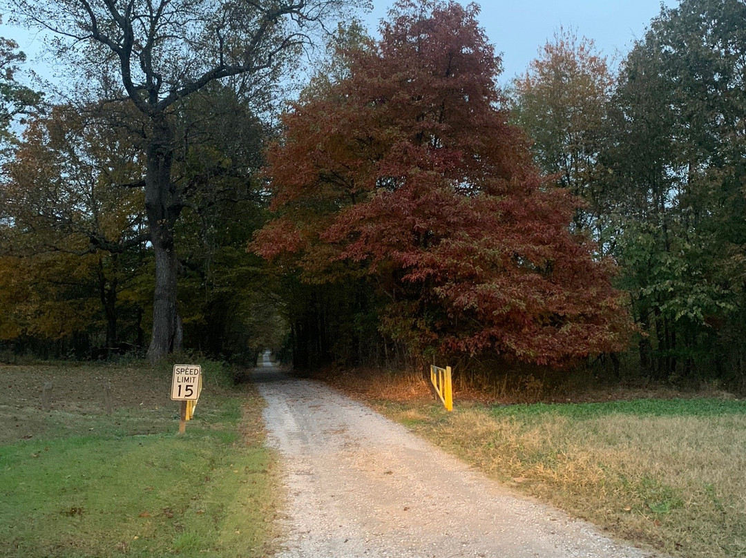 Cache River State Natural Area-Belknap必去景点